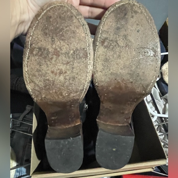 Calico - Picture 5 of 5